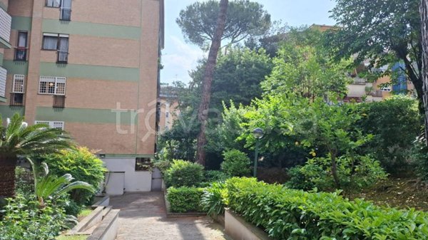 appartamento in affitto a Roma in zona Salario