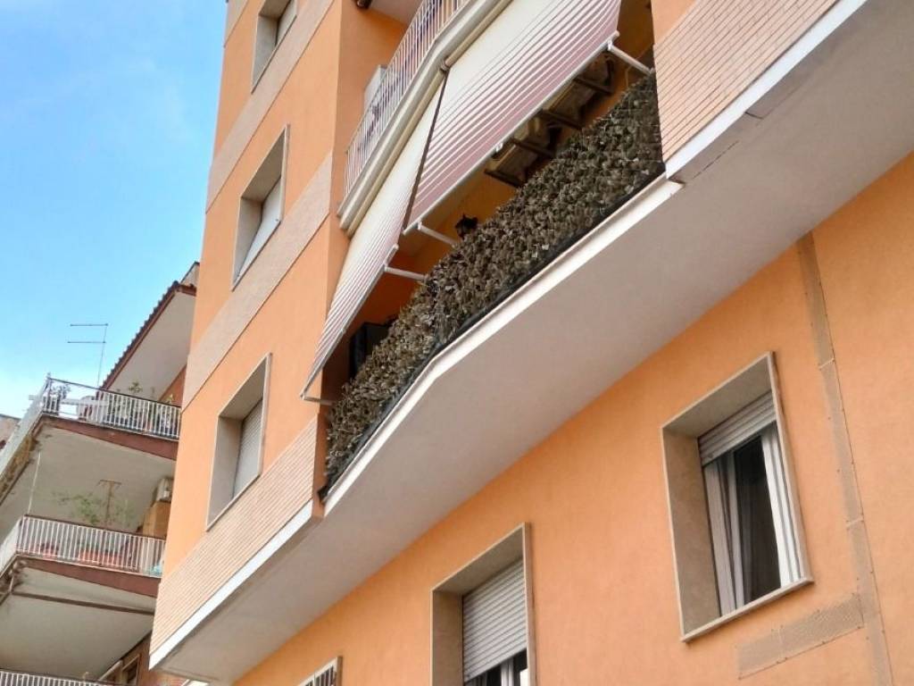 negozio in affitto a Roma in zona Appio Latino