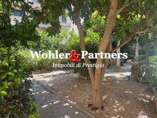 appartamento in affitto a Roma in zona Parioli