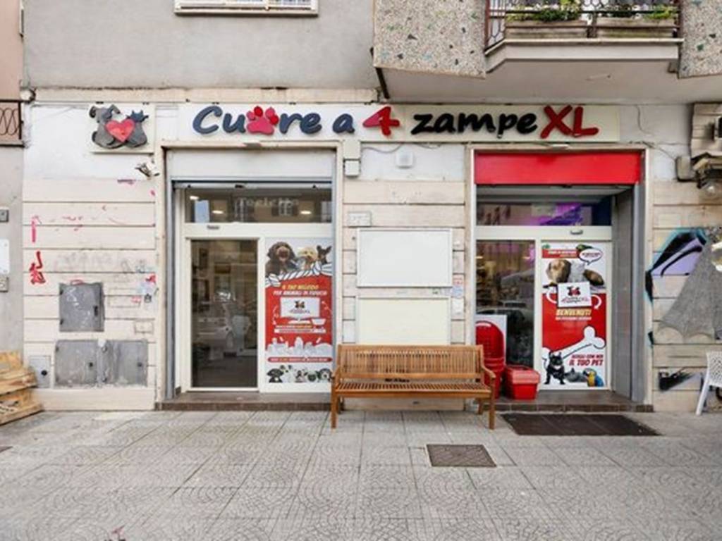 negozio in affitto a Roma in zona Prenestino-Centocelle