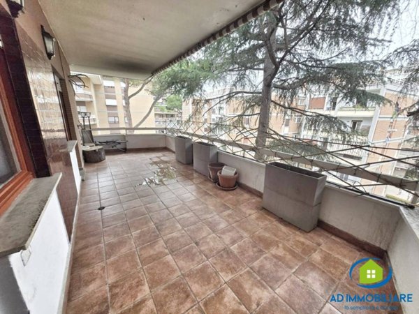 appartamento in affitto a Roma in zona Monte Sacro/Talenti