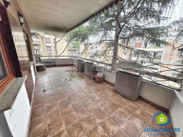 appartamento in affitto a Roma in zona Monte Sacro/Talenti