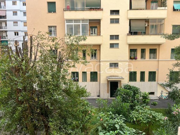 appartamento in affitto a Roma in zona Ostiense