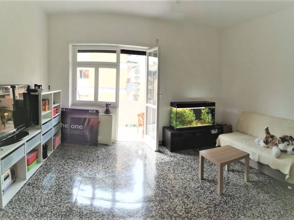 appartamento in affitto a Roma in zona Monte Sacro/Talenti