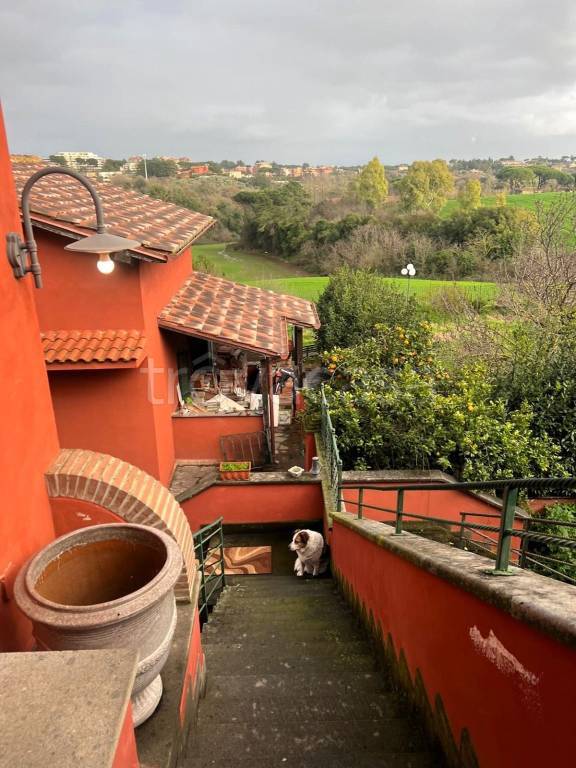 appartamento in affitto a Roma in zona Trionfale