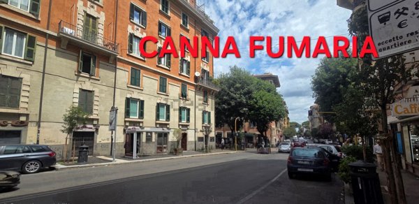 locale commerciale in affitto a Roma in zona Trieste