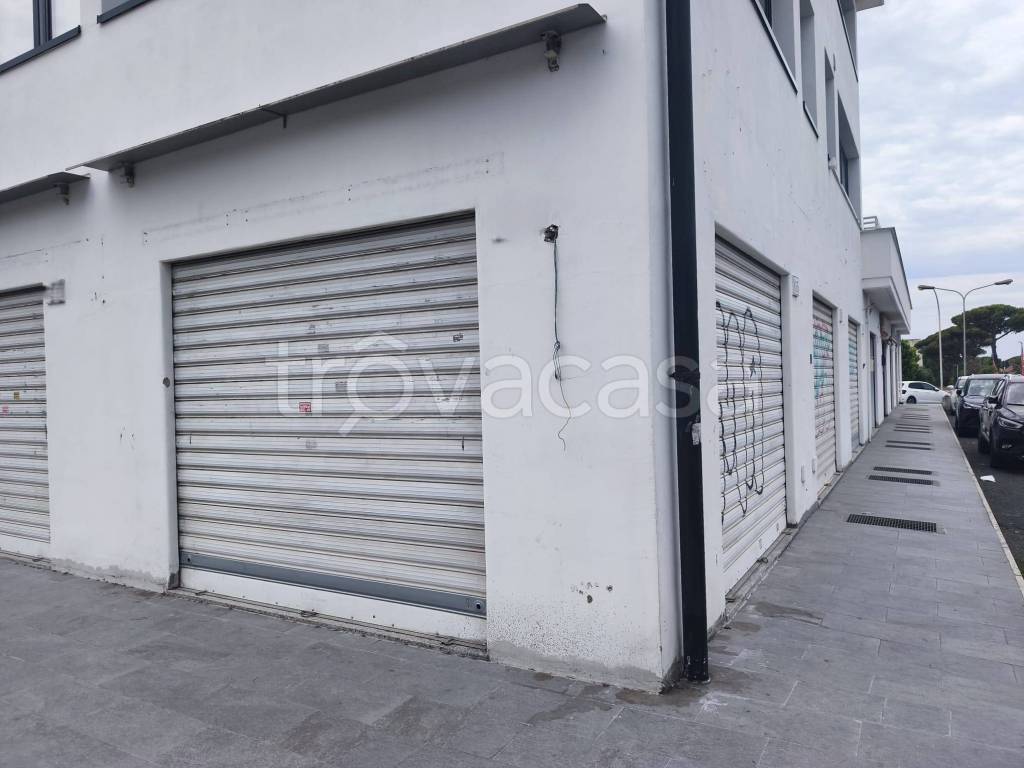 negozio in affitto a Roma in zona Axa