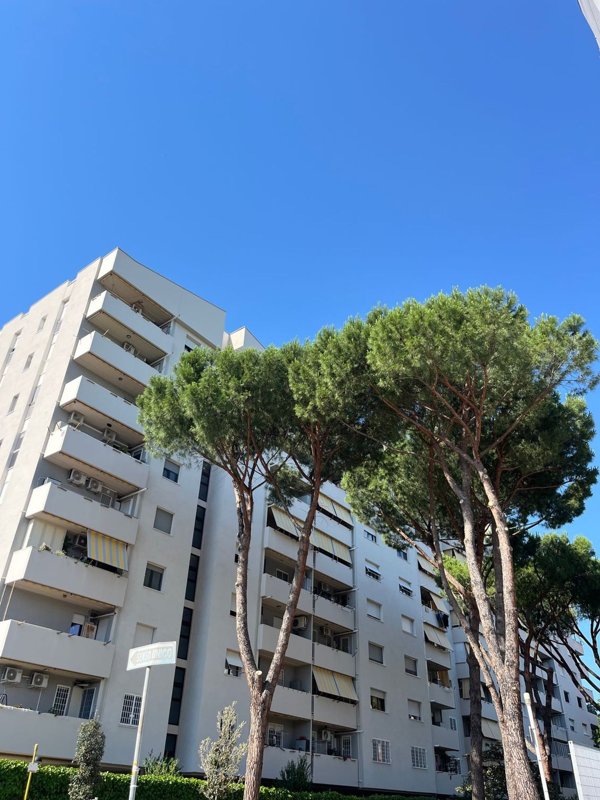 appartamento in affitto a Roma in zona Collatino