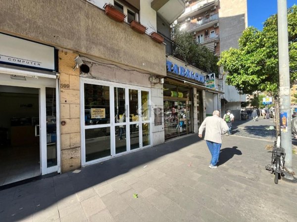 locale commerciale in affitto a Roma in zona Pietralata
