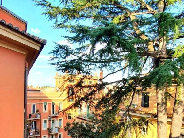 appartamento in affitto a Roma in zona Trieste