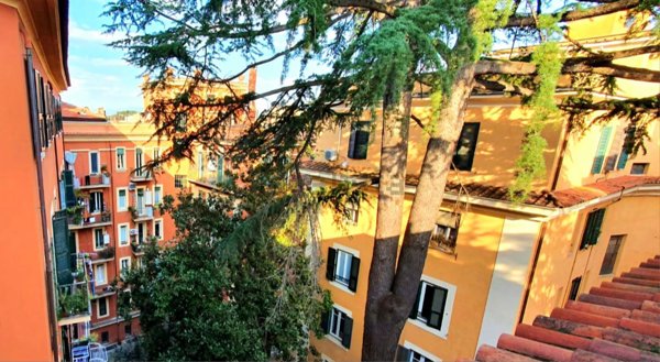 appartamento in affitto a Roma in zona Trieste