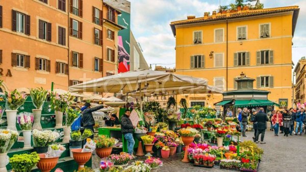 appartamento in affitto a Roma in zona Rione Regola