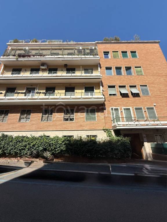 appartamento in affitto a Roma in zona Pinciano