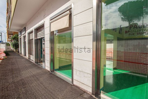 appartamento in affitto a Roma in zona Primavalle