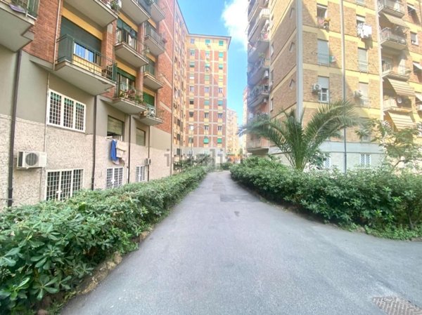 appartamento in affitto a Roma in zona Collatino