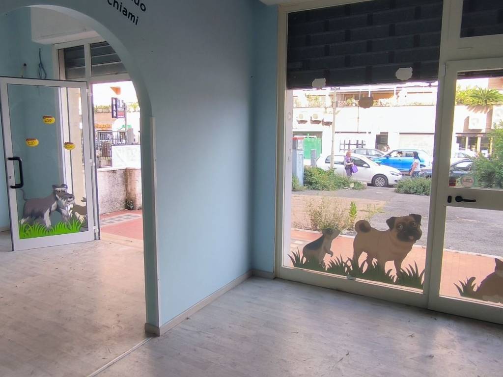 bivano in affitto a Roma in zona Pietralata
