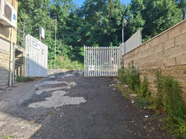 negozio in affitto a Roma in zona Ottavia