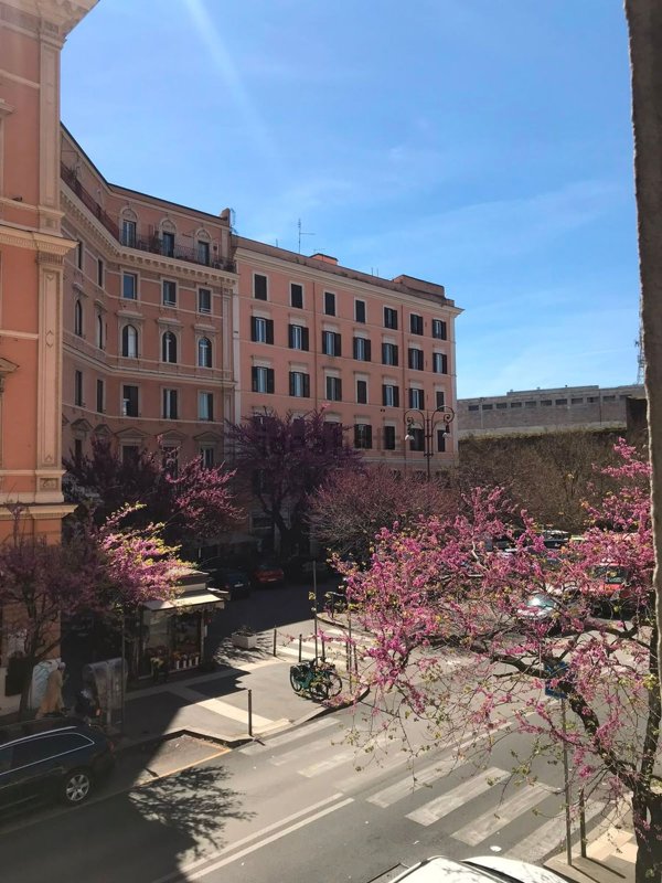 appartamento in affitto a Roma in zona Tiburtino