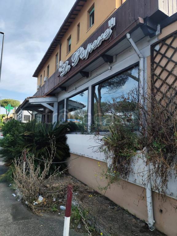 negozio in affitto a Roma in zona San Basilio