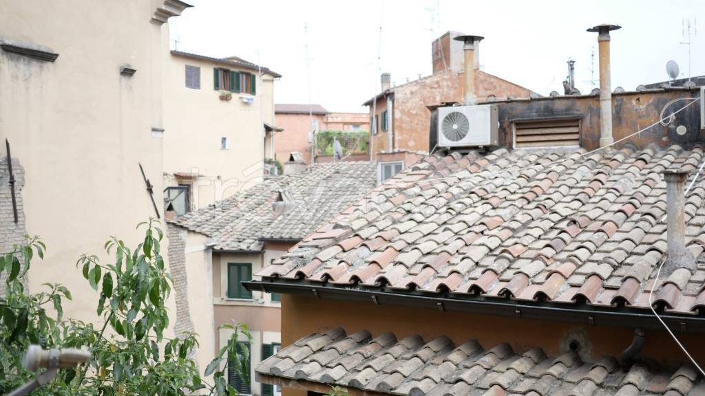 appartamento in affitto a Roma in zona Trastevere