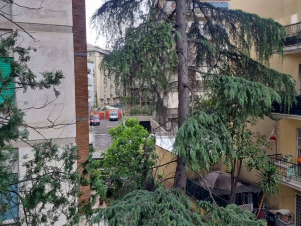 appartamento in affitto a Roma in zona Monte Sacro/Talenti
