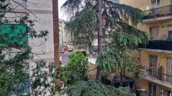 appartamento in affitto a Roma in zona Monte Sacro/Talenti