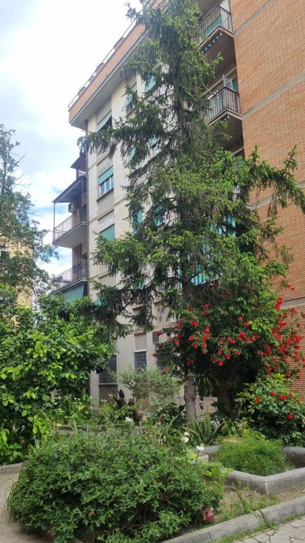 appartamento in affitto a Roma in zona Monte Sacro/Talenti