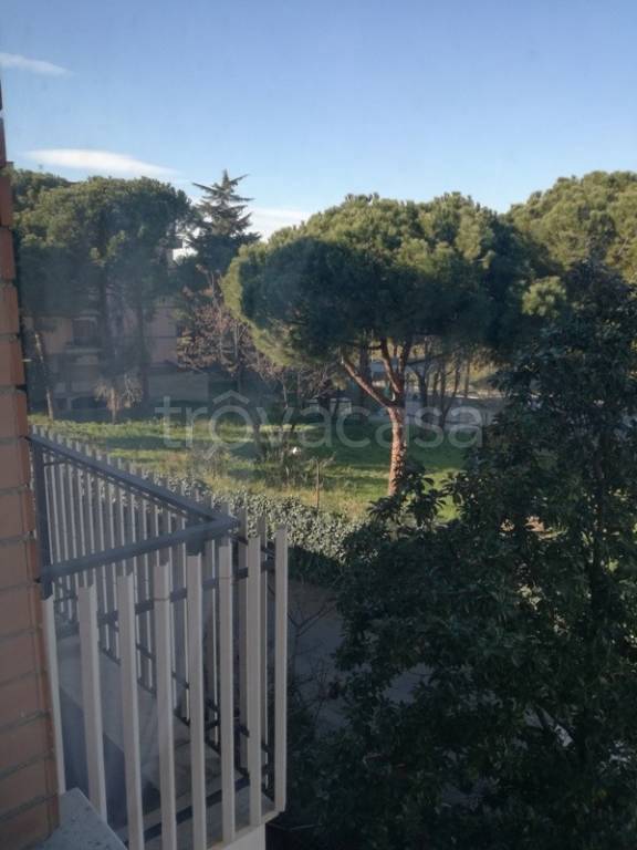 appartamento in affitto a Roma in zona Aurelio