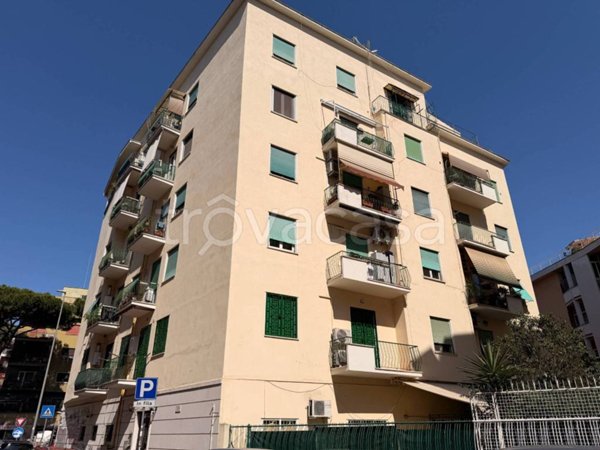appartamento in affitto a Roma in zona Monte Sacro/Talenti