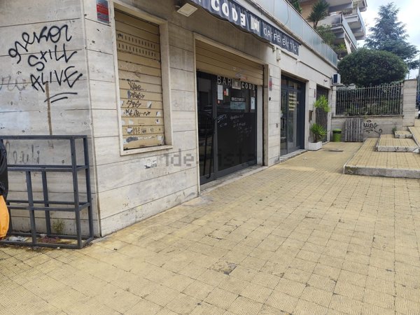 negozio in affitto a Roma in zona Monte Sacro/Talenti