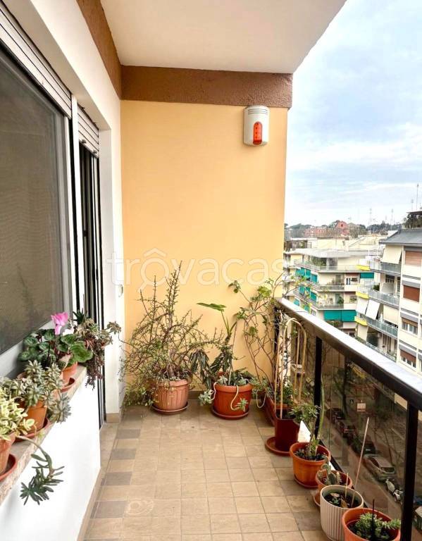 appartamento in affitto a Roma in zona Appio Latino