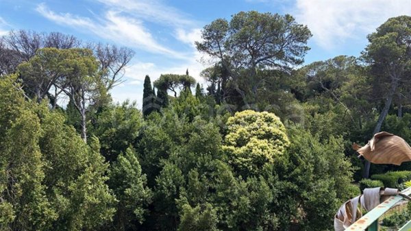 appartamento in affitto a Roma in zona Parioli