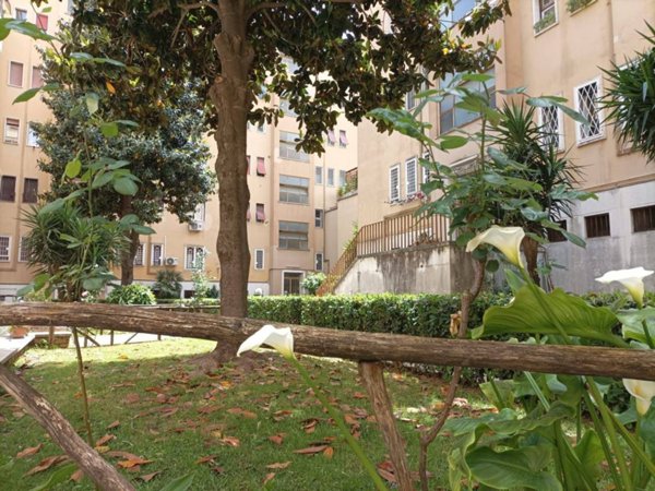 appartamento in affitto a Roma in zona Ostiense