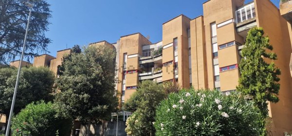 appartamento in affitto a Roma in zona Ponte Mammolo