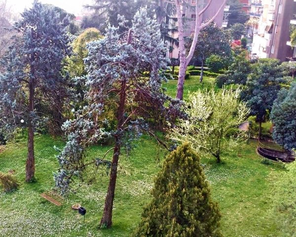 appartamento in affitto a Roma in zona Tomba di Nerone