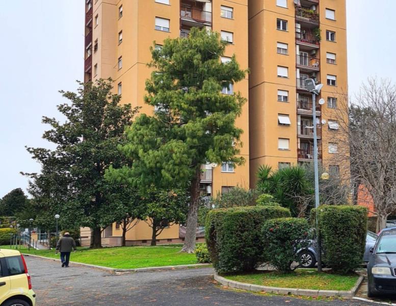 appartamento in affitto a Roma in zona Collatino