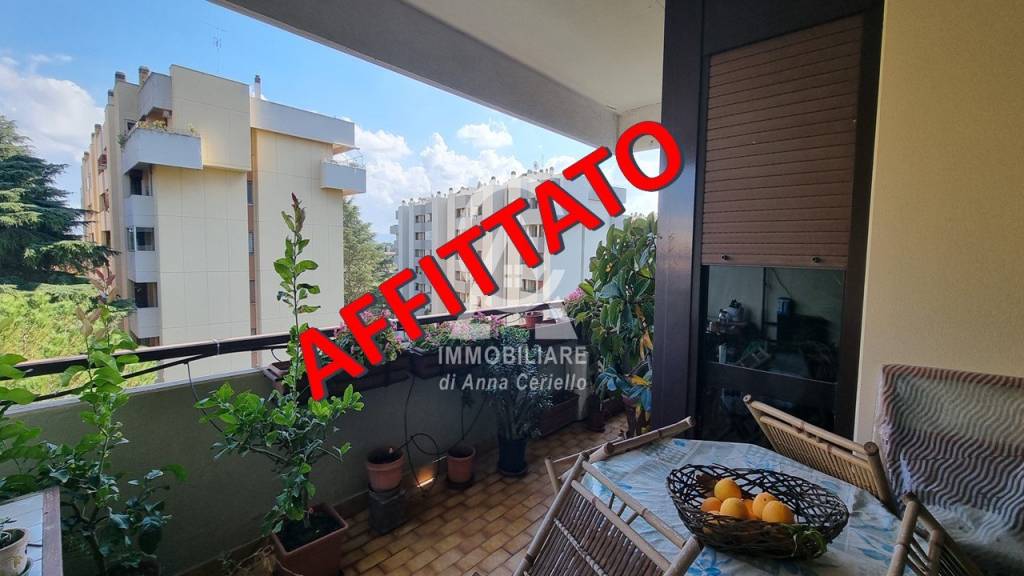 appartamento in affitto a Roma in zona EUR
