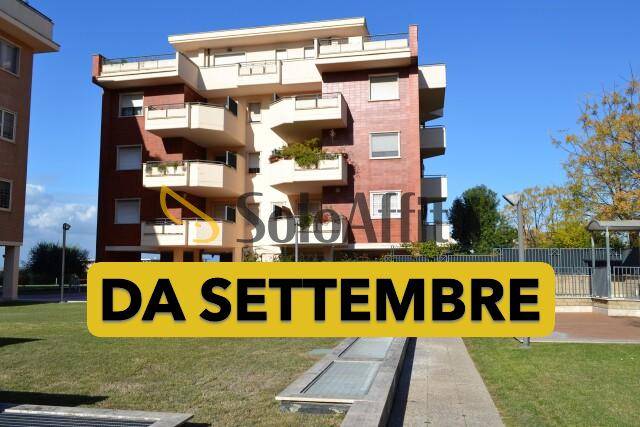 appartamento in affitto a Roma in zona Mezzocammino