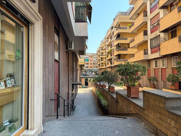 appartamento in affitto a Roma in zona Monte Sacro/Talenti