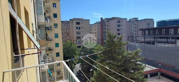appartamento in affitto a Roma in zona Trieste