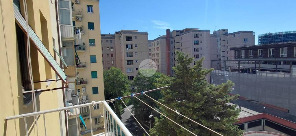 appartamento in affitto a Roma in zona Trieste