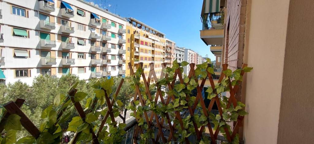 appartamento in affitto a Roma in zona Trieste