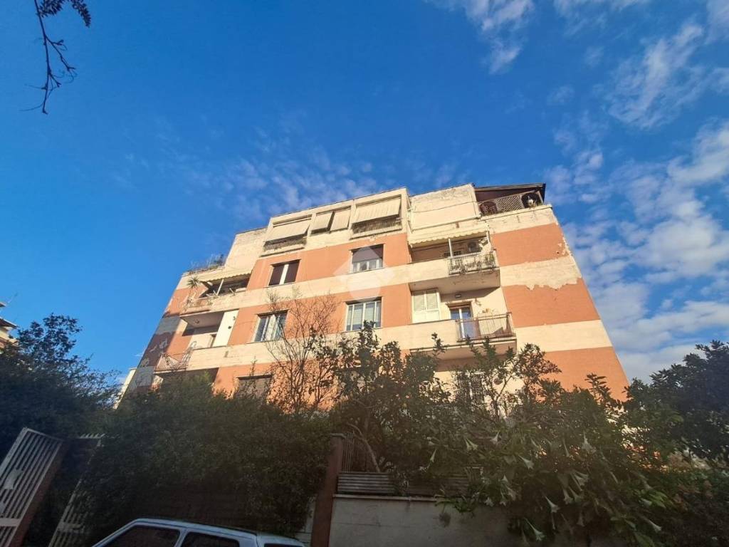 appartamento in affitto a Roma in zona Monte Sacro/Talenti