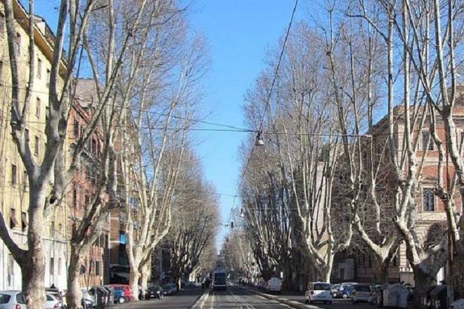 appartamento in affitto a Roma in zona Trastevere
