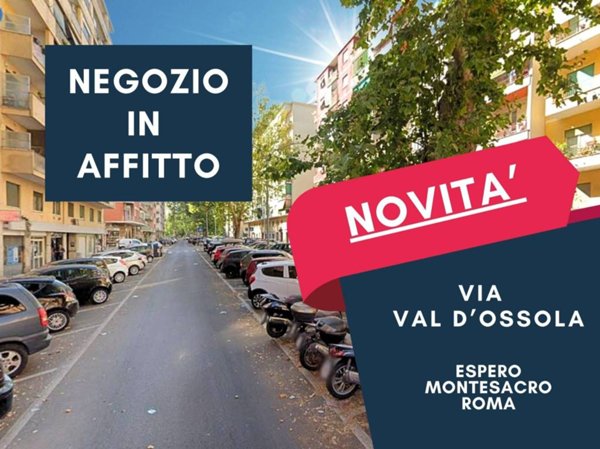negozio in affitto a Roma in zona Monte Sacro/Talenti