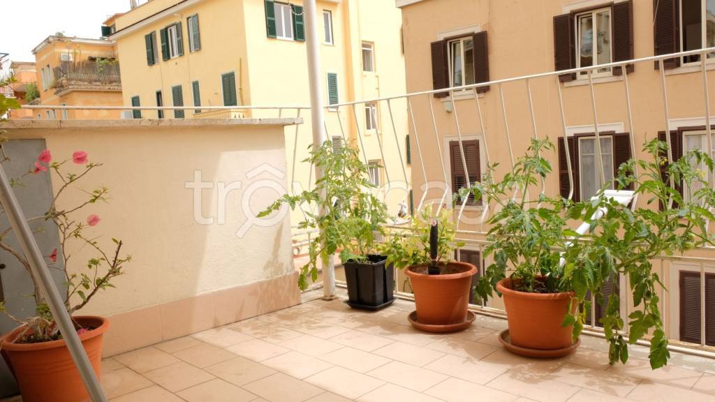 appartamento in affitto a Roma in zona Gianicolense