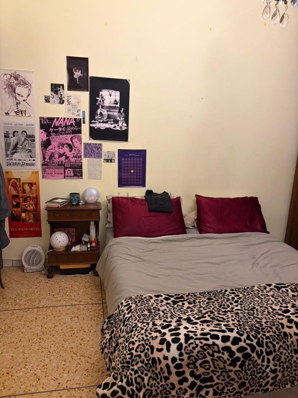 appartamento in affitto a Roma in zona Appio Latino