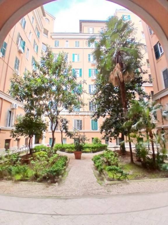 appartamento in affitto a Roma in zona Flaminio