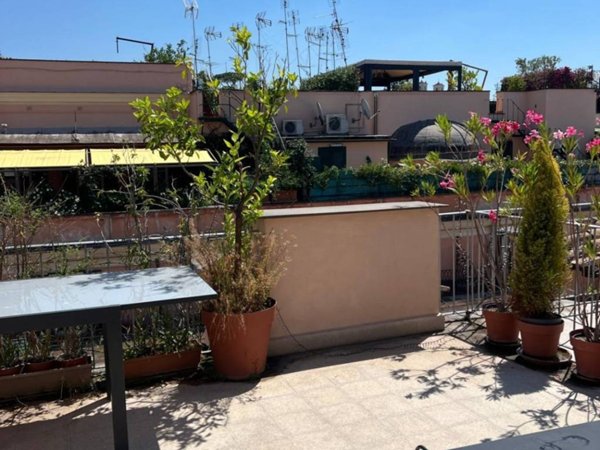 appartamento in affitto a Roma in zona Campo Marzio
