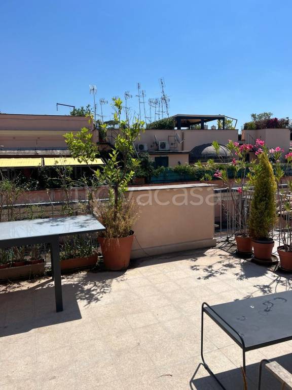 appartamento in affitto a Roma in zona Campo Marzio